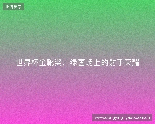 世界杯金靴奖，绿茵场上的射手荣耀