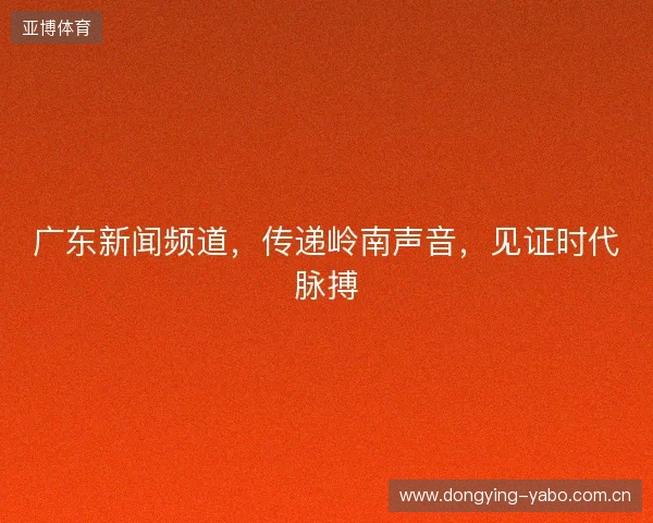 广东新闻频道，传递岭南声音，见证时代脉搏